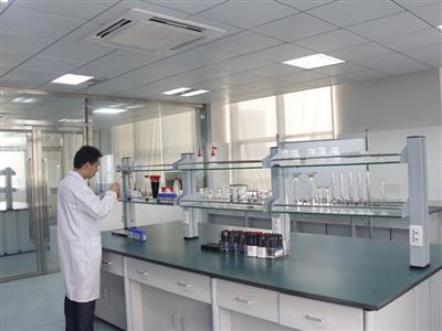 Laboratory workbench with analytical equipment