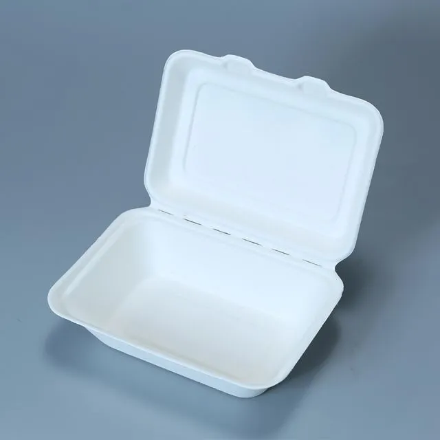 Open white moulded-pulp hinged food box